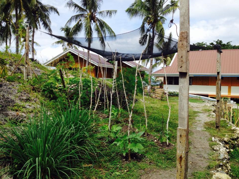 Liwayway Sa Bohol Pamilacan Resort Baclayon Chambre photo