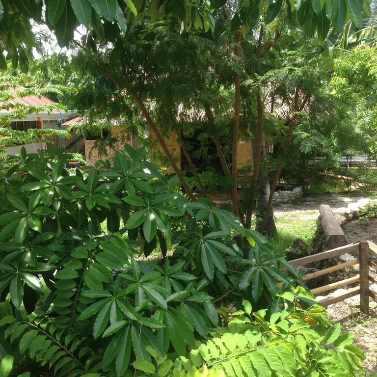 Liwayway Sa Bohol Pamilacan Resort Baclayon Extérieur photo